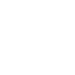 ce logo Visalia